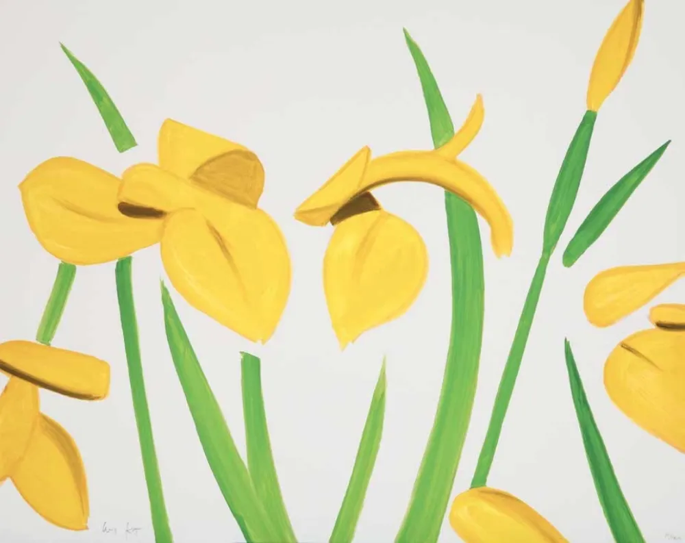 Aucune Technique Katz - Yellow Flags on White