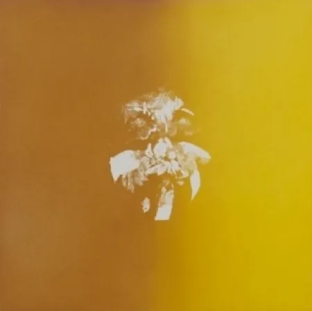 Aquatinte Le Brocquy - Jaune