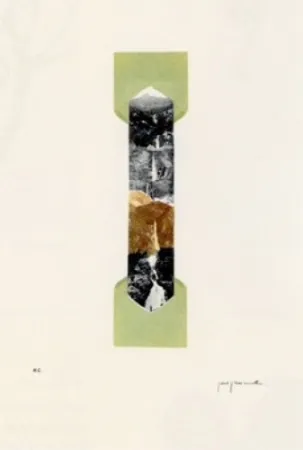 Lithographie Perejaume - El bosc a casa-4