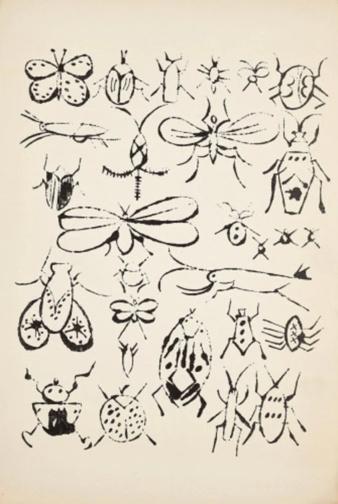 Lithographie Warhol - Happy Bug Day