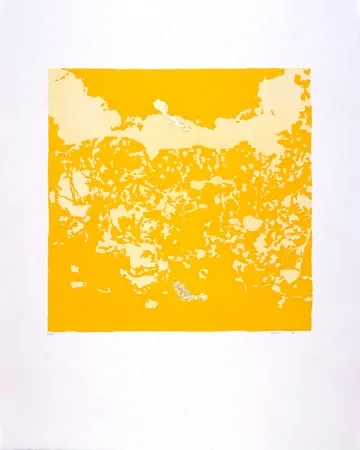 Aquatinte Agosti - Orphée N°II