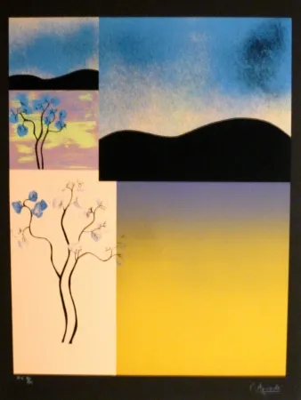 Sérigraphie Aguade - Analitica 2