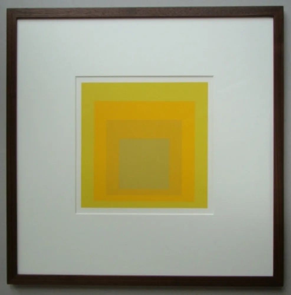 Aucune Technique Albers - Homage to the Square