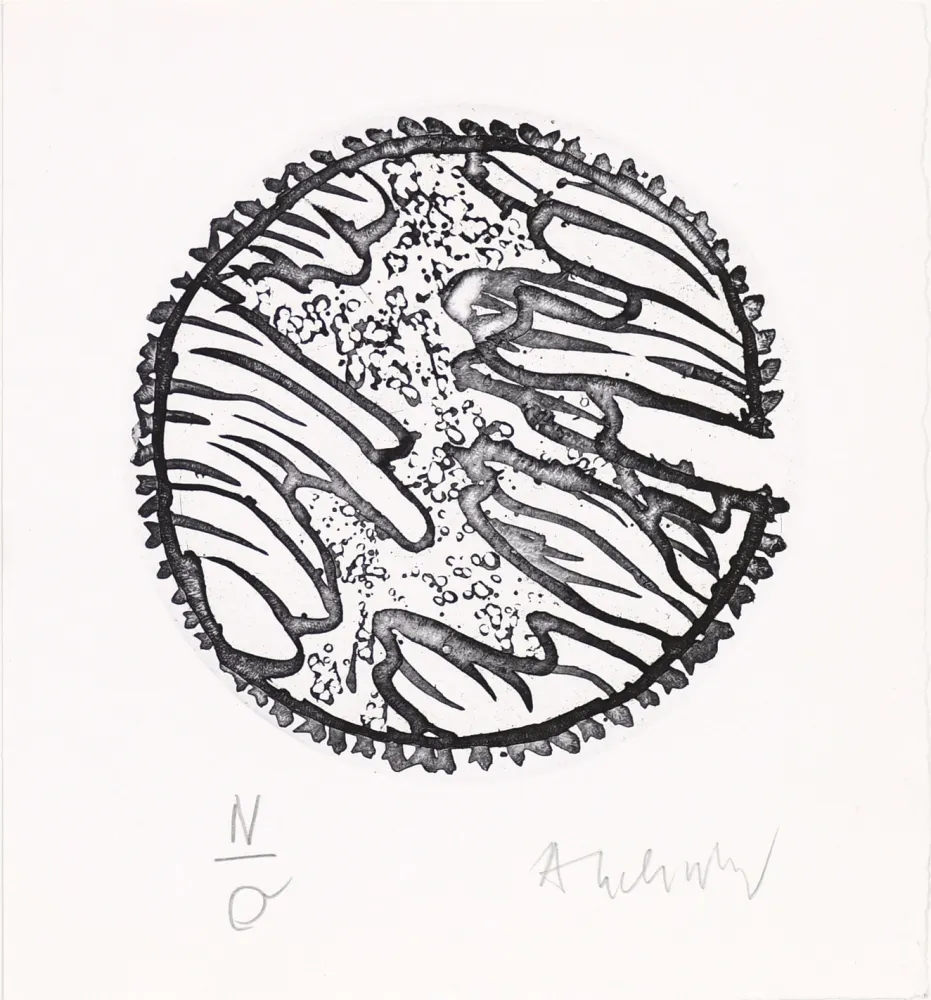 Eau-Forte Et Aquatinte Alechinsky - Chronique de la neige