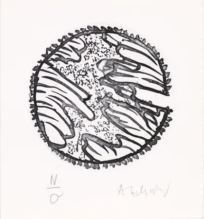 Eau-Forte Et Aquatinte Alechinsky - Chronique de la neige