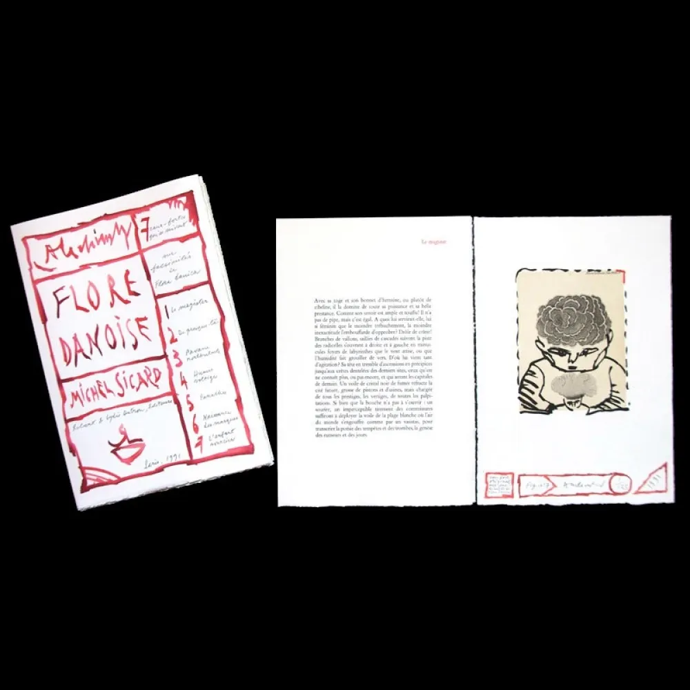 Livre Illustré Alechinsky - Flore danoise