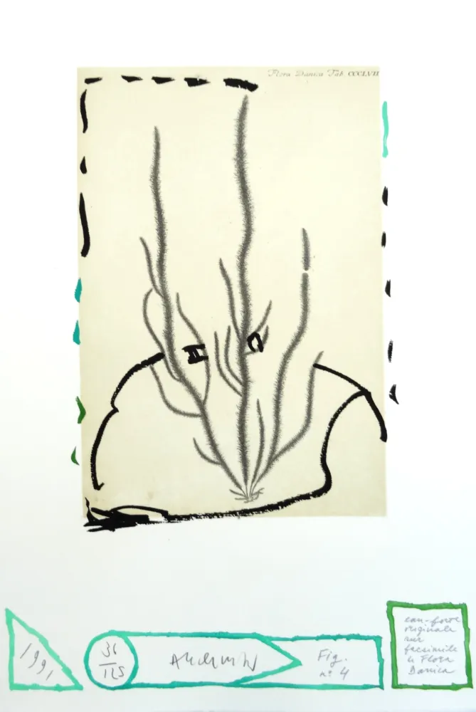 Eau-Forte Alechinsky - Flore danoise : Humus voltige