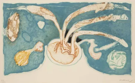 Eau-Forte Et Aquatinte Alechinsky - Volcan de nuit