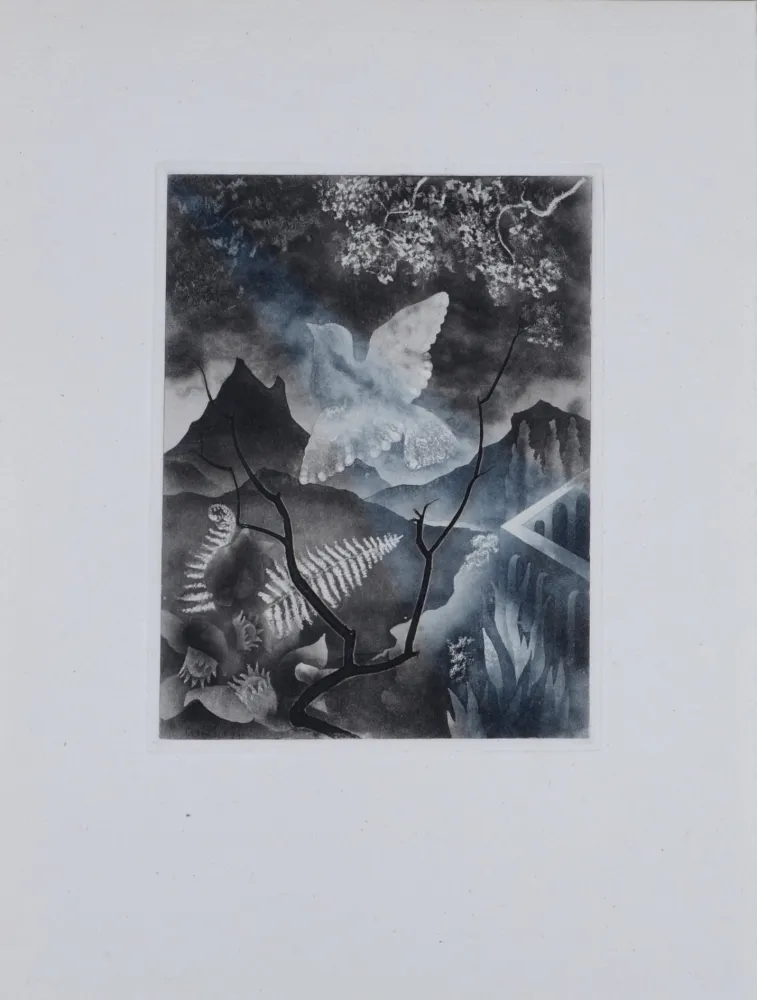 Gravure Alexeïeff - The Dove