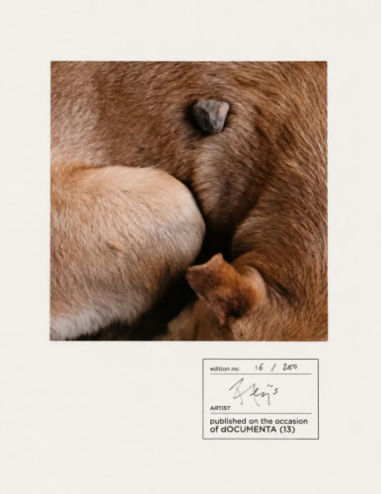 Photographie Alÿs - Untitled (documenta 13)