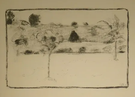 Lithographie Amiet - (Landschaft mit Bäumen)