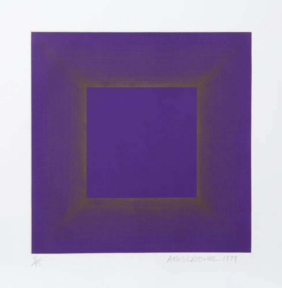 Aquatinte Anuszkiewicz - Midnight Suite (Purple with Silver)