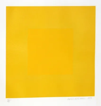 Eau-Forte Et Aquatinte Anuszkiewicz - Summer Suite (Yellow with Yellow)