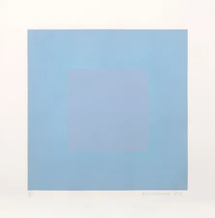 Aquatinte Anuszkiewicz - Winter Suite (Light Blue with Light Blue)