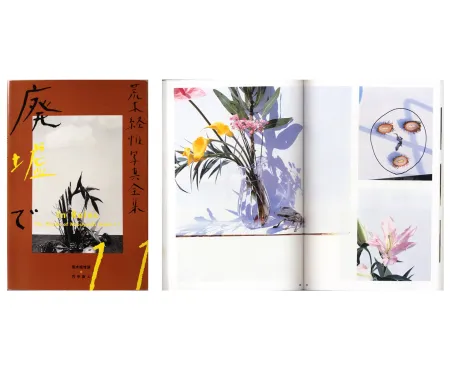 Photographie Araki - The Works of Nobuyoshi Araki - n° 11. IN RUINS