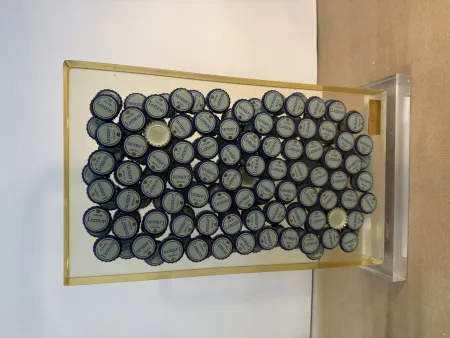 Aucune Technique Arman - Bon santé V, 1996 