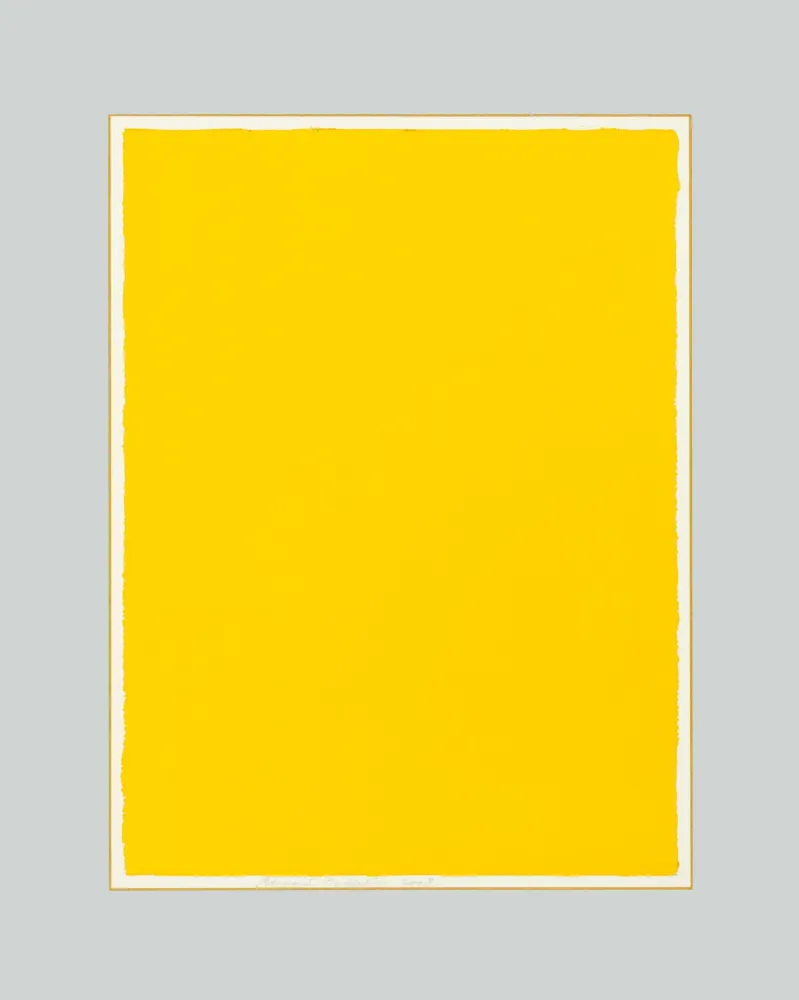 Aucune Technique Aubertin - Monocromo giallo