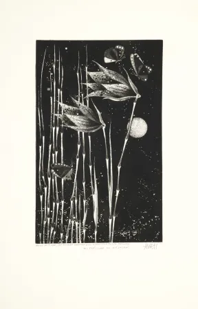 Aquatinte Avati - Les papillons de Nagasaki