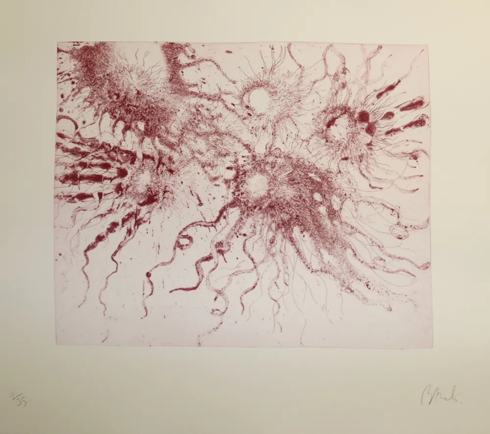 Eau-Forte Et Aquatinte Barcelo - Lanzarote 20