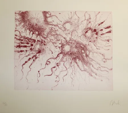 Eau-Forte Et Aquatinte Barcelo - Lanzarote 20