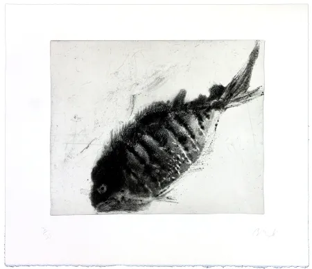 Gravure Barcelo - Lanzarote 40