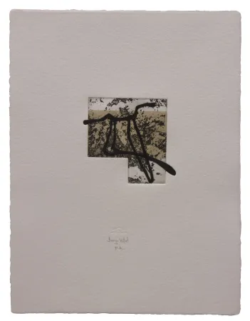 Eau-Forte Et Aquatinte Baroja-Collet - Animal