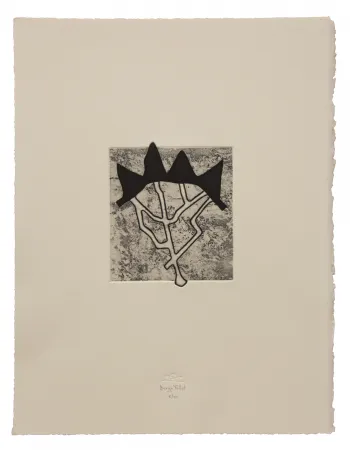 Eau-Forte Et Aquatinte Baroja-Collet - Estructurada