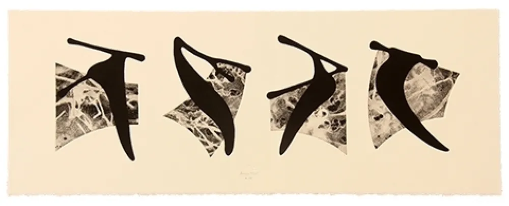 Gravure Baroja-Collet - Neguko kronika