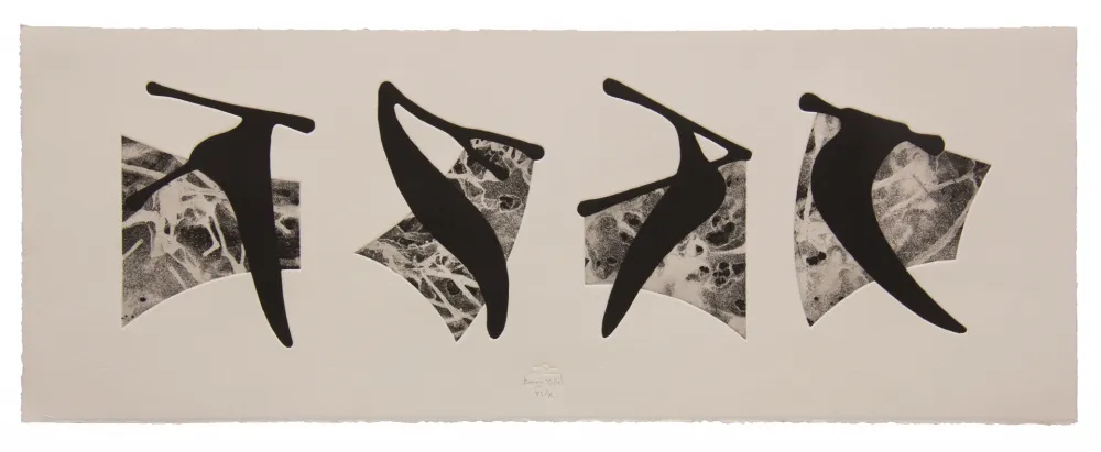 Eau-Forte Et Aquatinte Baroja-Collet - Neguko kronika