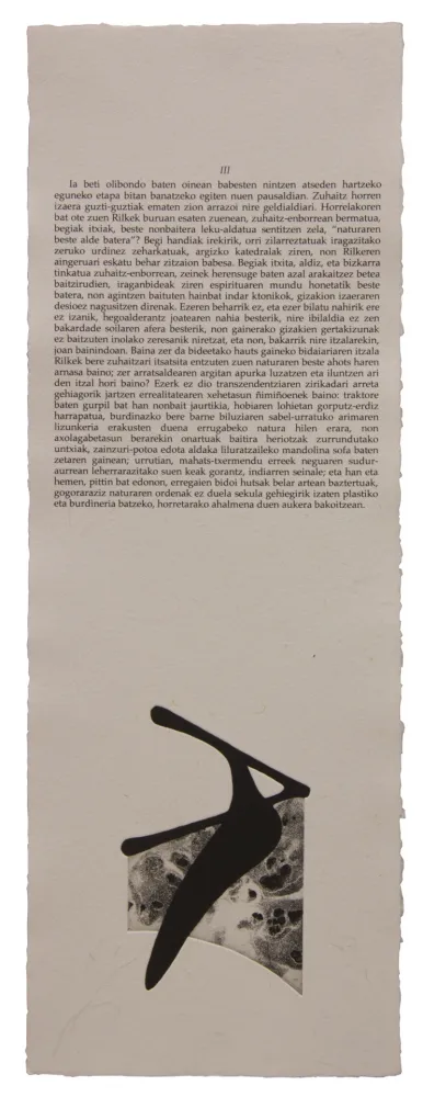 Livre Illustré Baroja-Collet - Neguko kronika hegoaldeko ordeketan