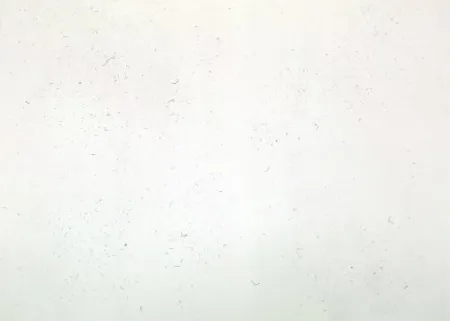 Gravure Bartolini - Dust Chaser 1