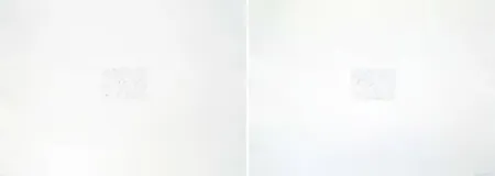 Gravure Bartolini - Dust Chaser