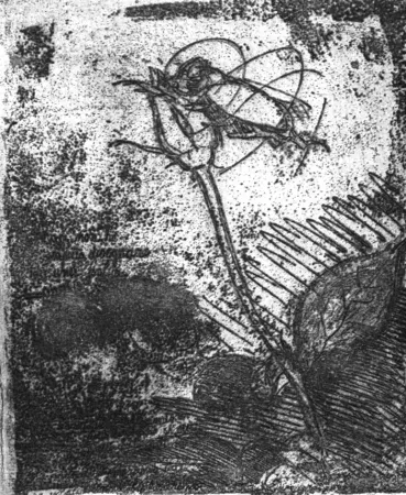 Eau-Forte Bartolini - La rosa