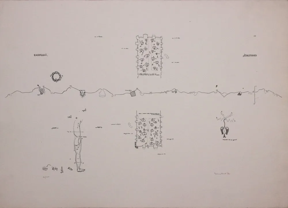 Lithographie Baruchello - Campioni