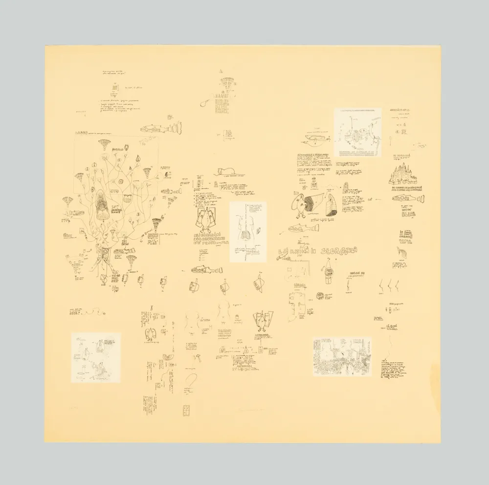 Sérigraphie Baruchello - Senza titolo