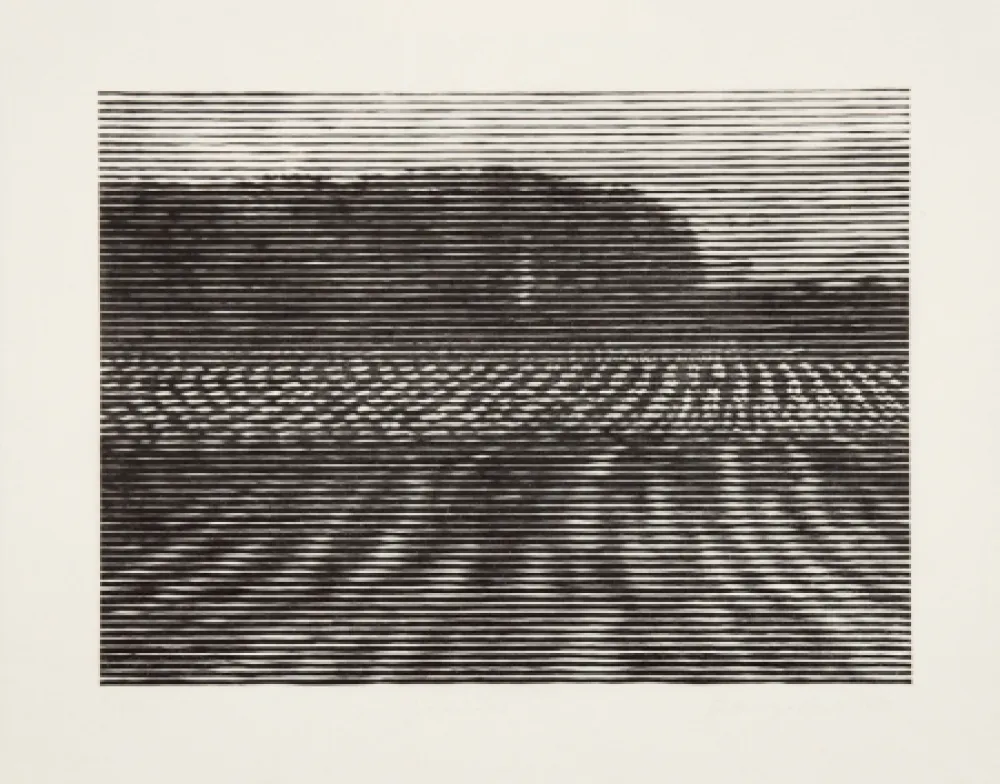 Gravure Sur Bois Baumgartner - Gelände