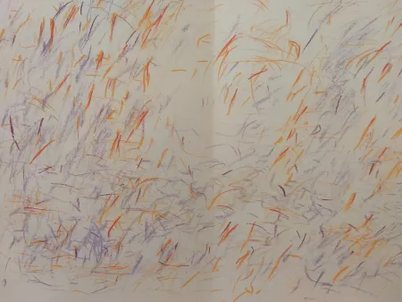 Livre Illustré Bazaine - Edition Tete DLM 170