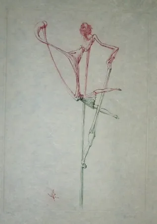 Eau-Forte Et Aquatinte Bellmer - Oeillades ciselées 7