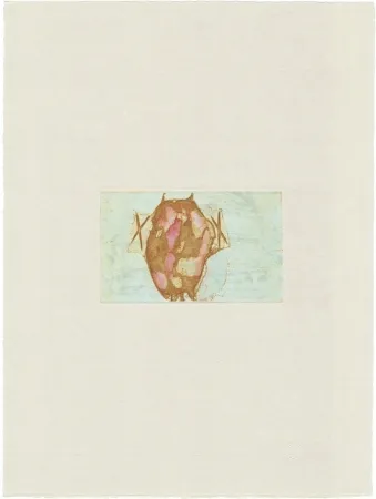 Gravure Beuys - Tränen: Schamanentrommel (grün) 