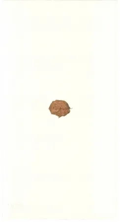 Lithographie Beuys - Zirkulationszeit: Bär  Museumsausgabe