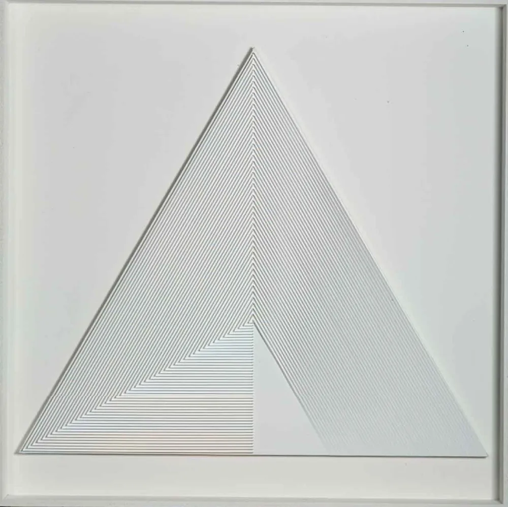 Aucune Technique Biasi - POLITIPO TRIANGOLARE