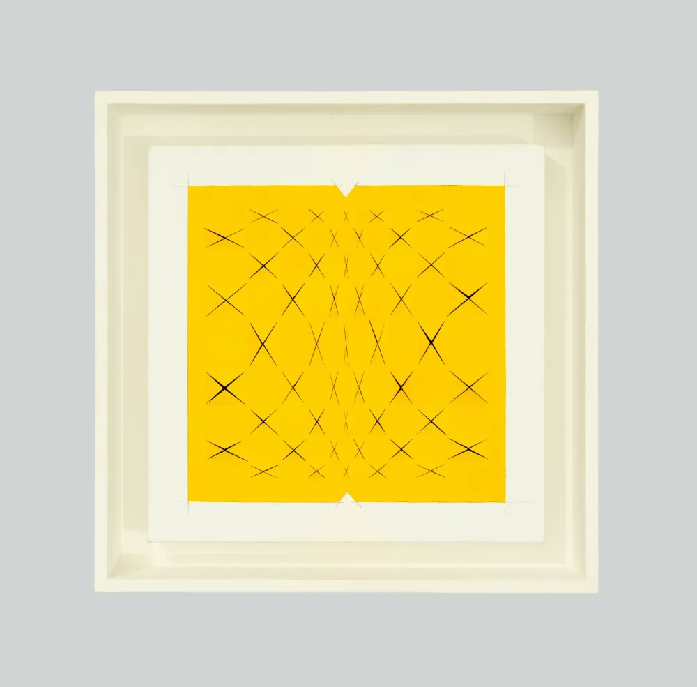 Aucune Technique Biasi - Spazio papale