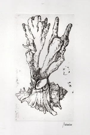 Livre Illustré Biasion - Venezia lontana