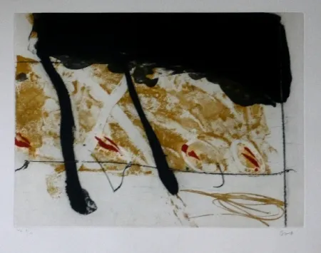 Eau-Forte Et Aquatinte Bird - Abstract 8