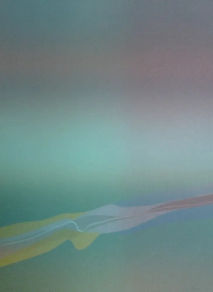 Lithographie Bird - Spectre lumière 4