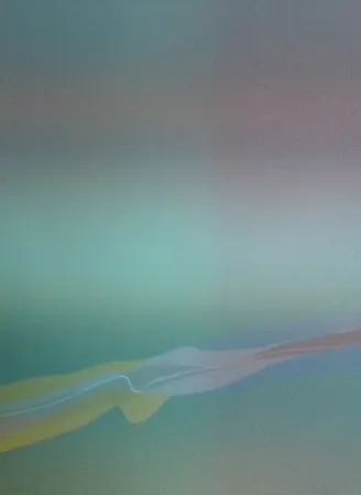 Lithographie Bird - Spectre lumière 4