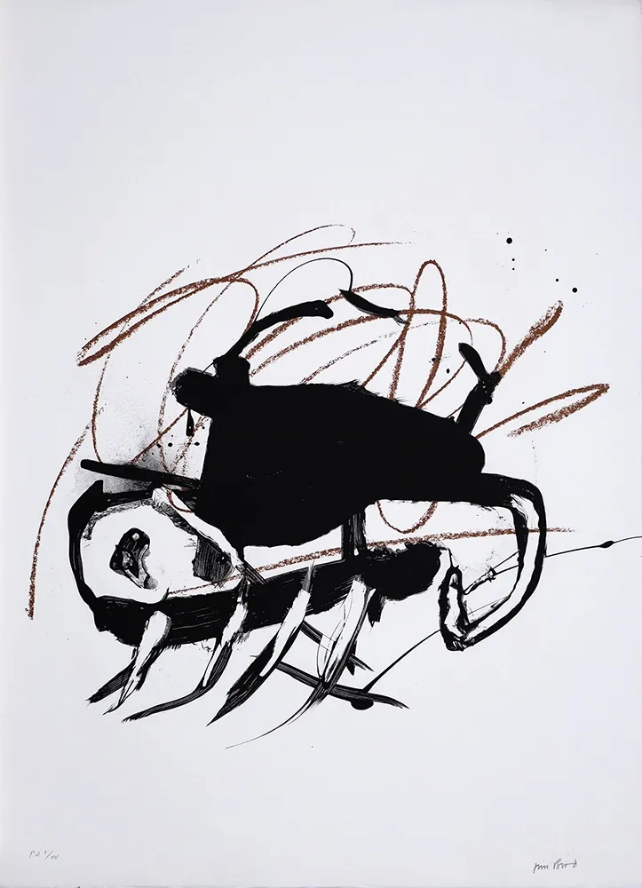 Lithographie Bird - S/T