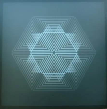 Lithographie Bird - Tribute to vasarely 12