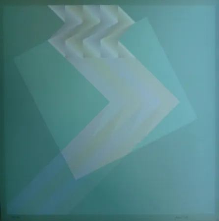 Lithographie Bird - Tribute to Vasarely 13