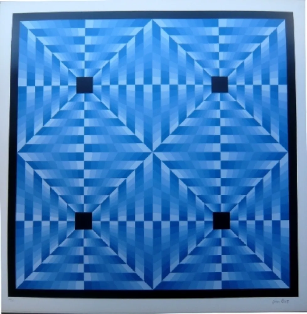 Lithographie Bird - Tribute to Vasarely 6